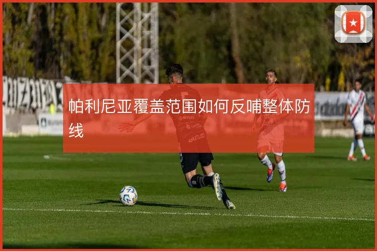帕利尼亚覆盖范围如何反哺整体防线