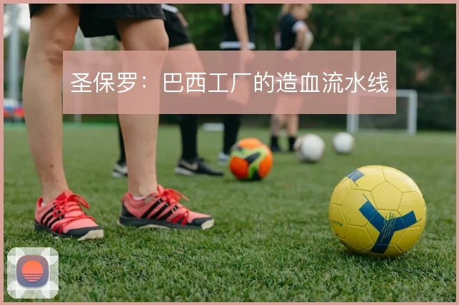 圣保罗：巴西工厂的造血流水线