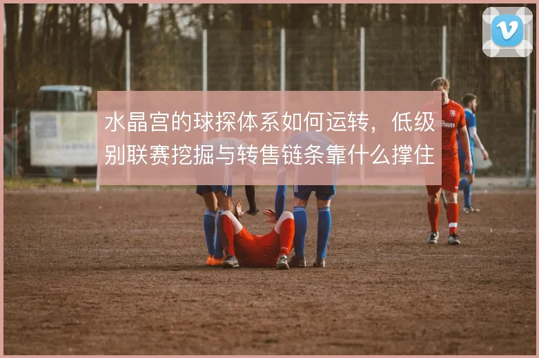 水晶宫的球探体系如何运转，低级别联赛挖掘与转售链条靠什么撑住