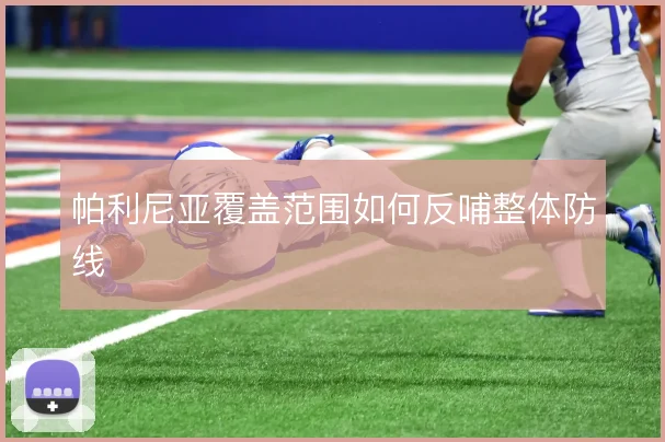帕利尼亚覆盖范围如何反哺整体防线